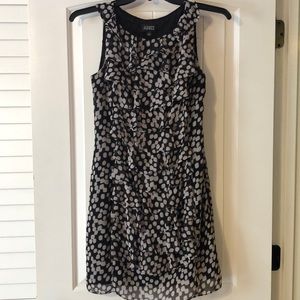 Adrianna Papell Dress